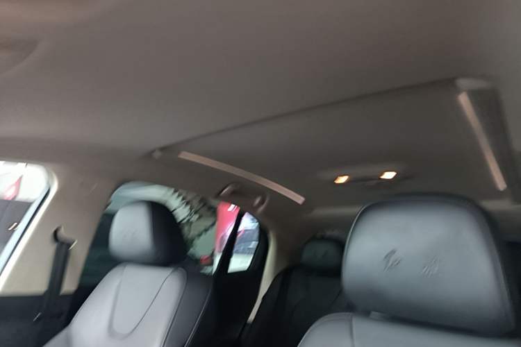 Used Hongqi E-QM5 2022 431 km Charge & Enjoy Edition Headliner
