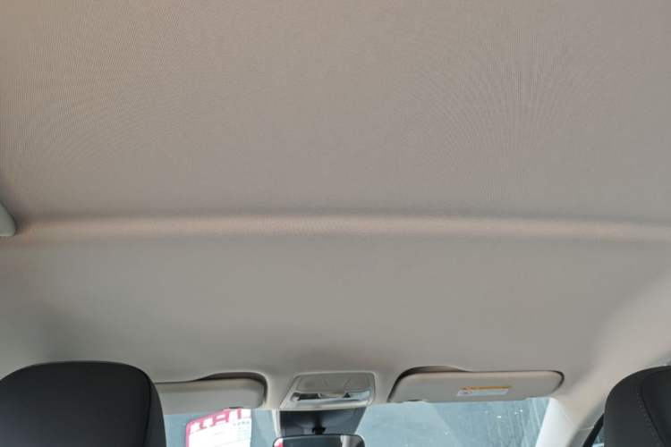 Used Hongqi E-QM5 2022 431 km Charge & Enjoy Edition Headliner