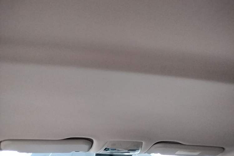 Used Hongqi E-QM5 2022 431 km Charge & Enjoy Edition Headliner