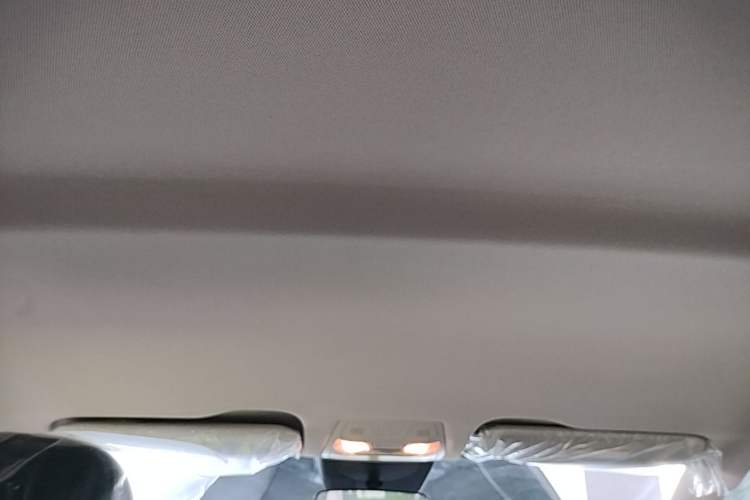 Used Hongqi E-QM5 2022 431 km Charge & Enjoy Edition Headliner