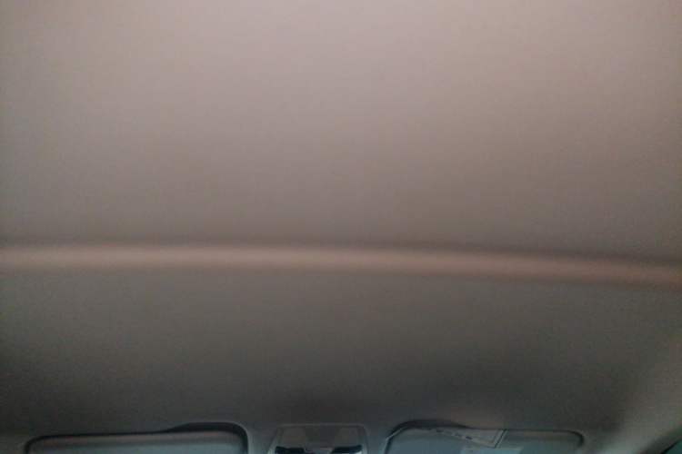 Used Hongqi E-QM5 2022 431 km Charge & Enjoy Edition Headliner