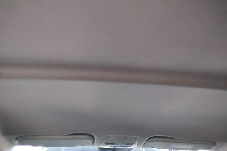 Used Hongqi E-QM5 2022 431 km Charge & Enjoy Edition Headliner