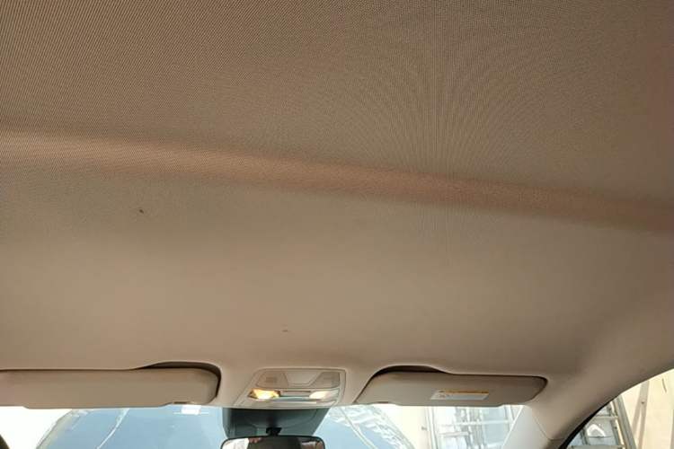 Used Hongqi E-QM5 2022 431 km Charge & Enjoy Edition Headliner