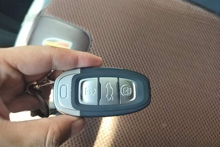 Used Hongqi E-QM5 2022 431 km Charge & Enjoy Edition Interior 1