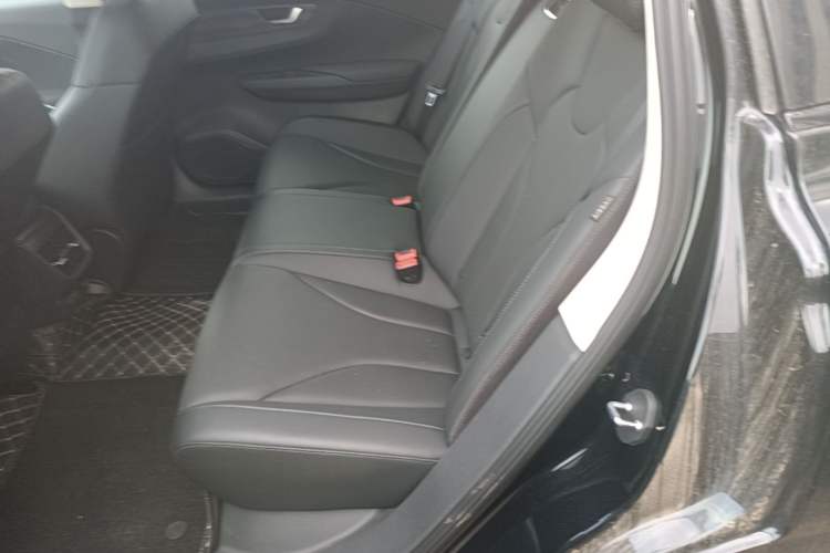Used Hongqi E-QM5 2022 431 km Charge & Enjoy Edition Left Rear Seat