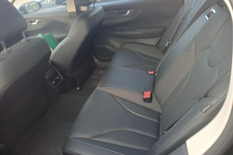 Used Hongqi E-QM5 2022 431 km Charge & Enjoy Edition Left Rear Seat