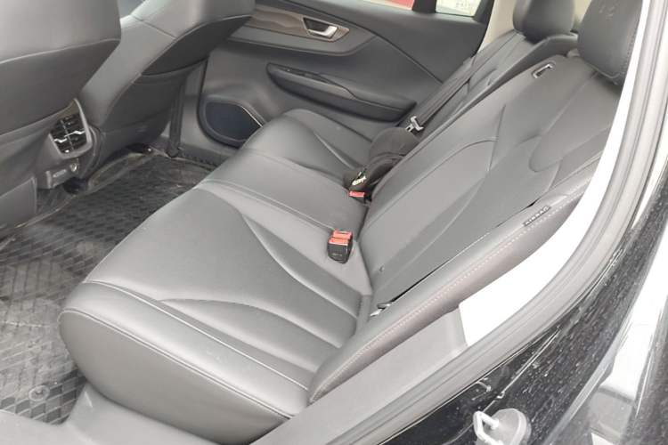 Used Hongqi E-QM5 2022 431 km Charge & Enjoy Edition Left Rear Seat