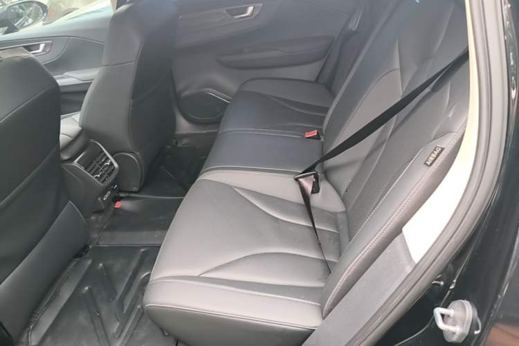 Used Hongqi E-QM5 2022 431 km Charge & Enjoy Edition Left Rear Seat
