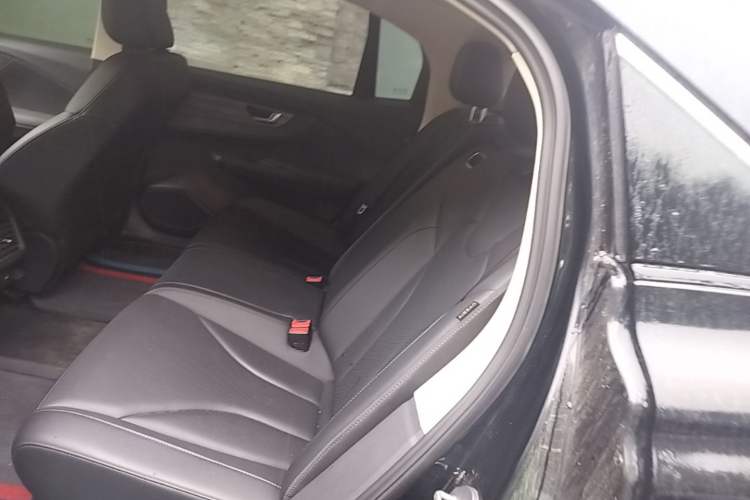 Used Hongqi E-QM5 2022 431 km Charge & Enjoy Edition Left Rear Seat