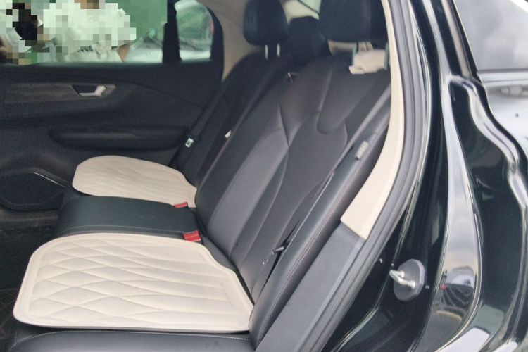 Used Hongqi E-QM5 2022 431 km Charge & Enjoy Edition Left Rear Seat