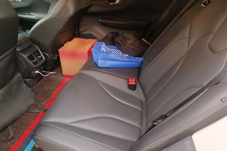 Used Hongqi E-QM5 2022 431 km Charge & Enjoy Edition Left Rear Seat