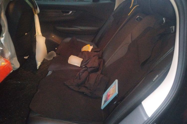 Used Hongqi E-QM5 2022 431 km Charge & Enjoy Edition Left Rear Seat