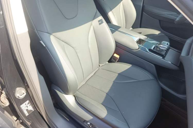 Used Hongqi E-QM5 2022 431 km Charge & Enjoy Edition Right Front Seat
