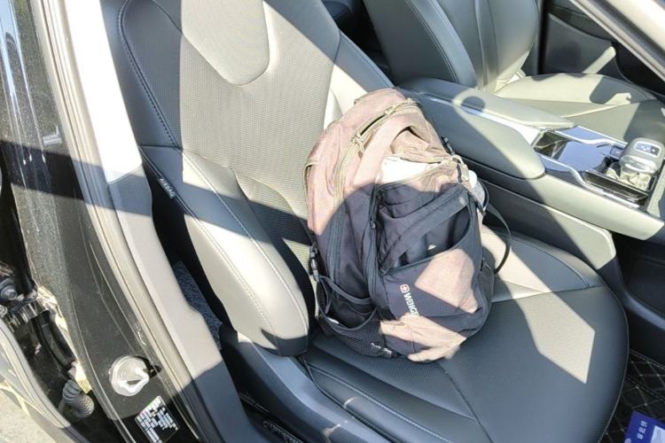 Used Hongqi E-QM5 2022 431 km Charge & Enjoy Edition Right Front Seat