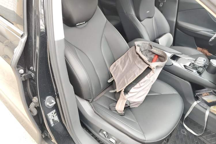 Used Hongqi E-QM5 2022 431 km Charge & Enjoy Edition Right Front Seat