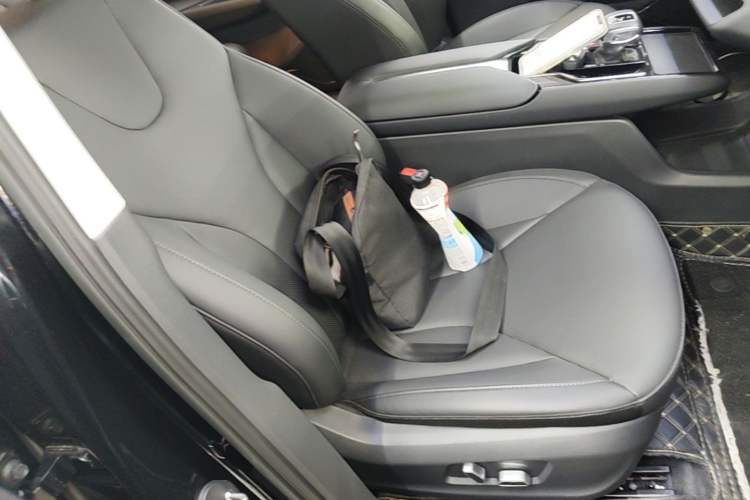 Used Hongqi E-QM5 2022 431 km Charge & Enjoy Edition Right Front Seat