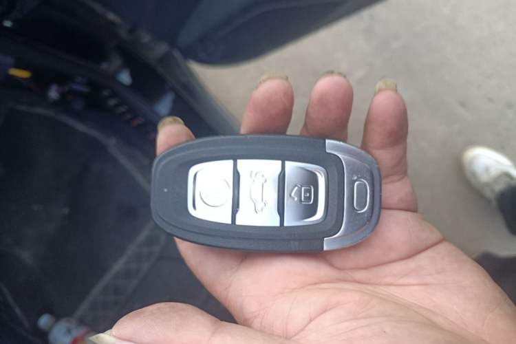 Used Hongqi E-QM5 2022 431 km Charge & Enjoy Edition Vehicle Key