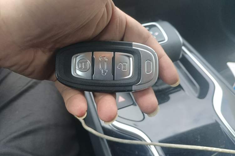 Used Hongqi E-QM5 2022 431 km Charge & Enjoy Edition Vehicle Key