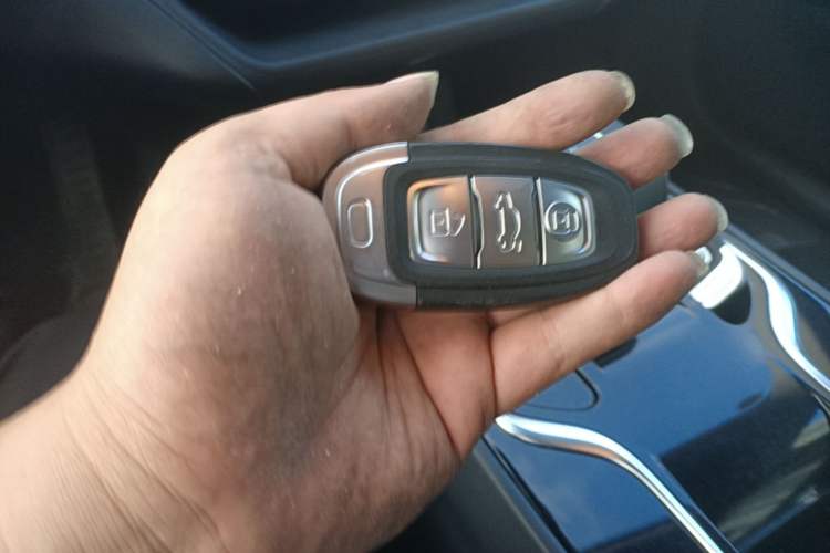 Used Hongqi E-QM5 2022 431 km Charge & Enjoy Edition Vehicle Key