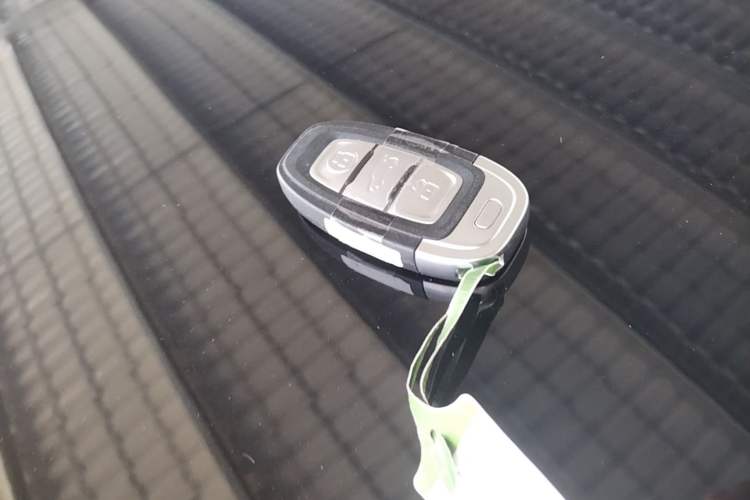 Used Hongqi E-QM5 2022 431 km Charge & Enjoy Edition Vehicle Key