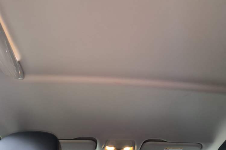 Used Hongqi E-QM5 2022 431 km Charge & Enjoy Edition Headliner