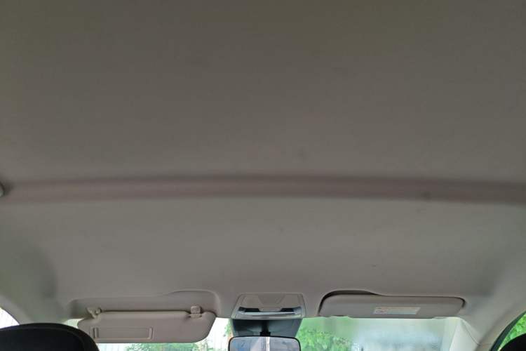 Used Hongqi E-QM5 2022 431 km Charge & Enjoy Edition Headliner