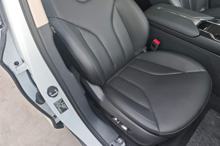 Used Hongqi E-QM5 2022 431 km Charge & Enjoy Edition Right Front Seat