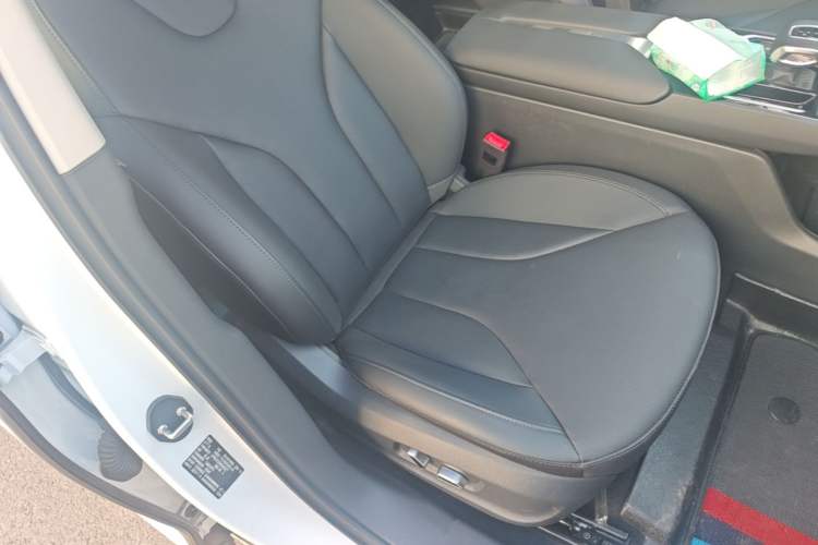 Used Hongqi E-QM5 2022 431 km Charge & Enjoy Edition Right Front Seat