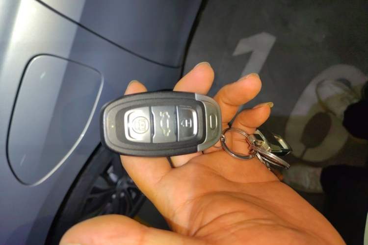 Used Hongqi E-QM5 2022 431 km Charge & Enjoy Edition Interior 1