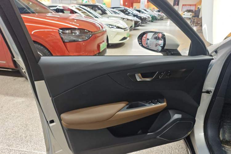 Used Hongqi E-QM5 2022 431 km Charge & Enjoy Edition Left Front Door Interior