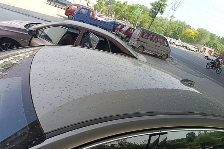 Used Hongqi E-QM5 2022 431 km Charge & Enjoy Edition Roof