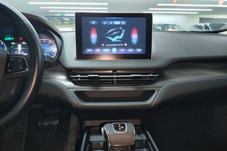 Used Hongqi E-QM5 2023 Revised Version Basic Travel Edition Audio And AC Panel