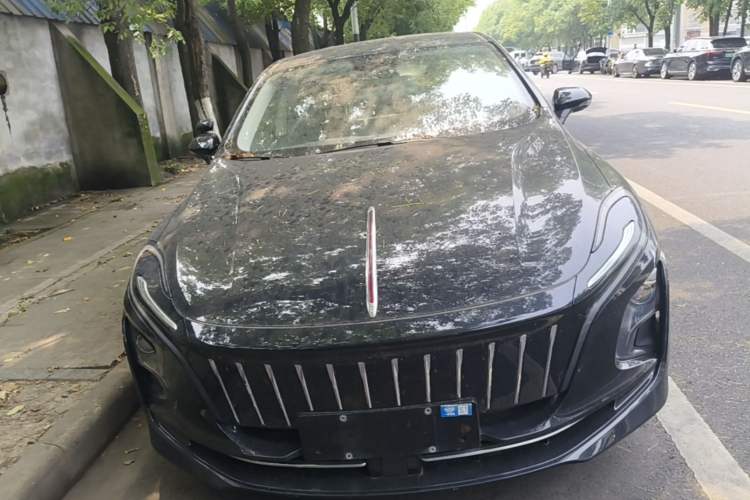 Used Hongqi E-QM5 2023 Base Travel Edition Front