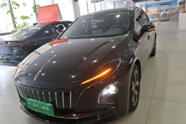 Hongqi E-QM5 2023 Revised Version Basic Travel Edition usado
