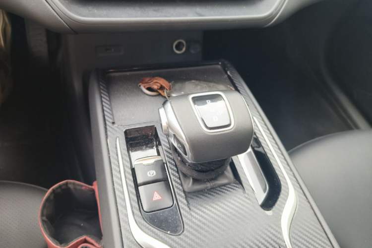 Used Hongqi E-QM5 2023 620km PLUS Gear Lever