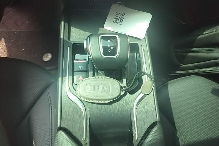 Used Hongqi E-QM5 2023 620km PLUS Gear Lever