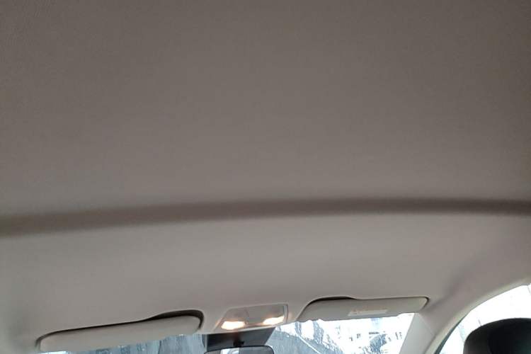 Used Hongqi E-QM5 2023 Revised Version Basic Travel Edition Headliner