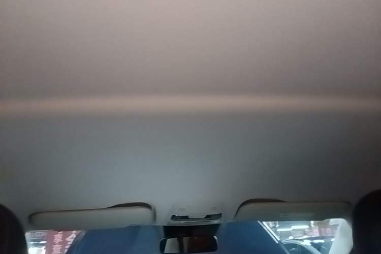 Used Hongqi E-QM5 2023 560km PLUS Headliner