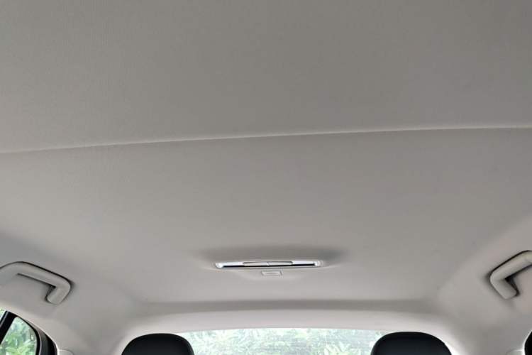 Used Hongqi E-QM5 2023 Revised Version Basic Travel Edition Headliner