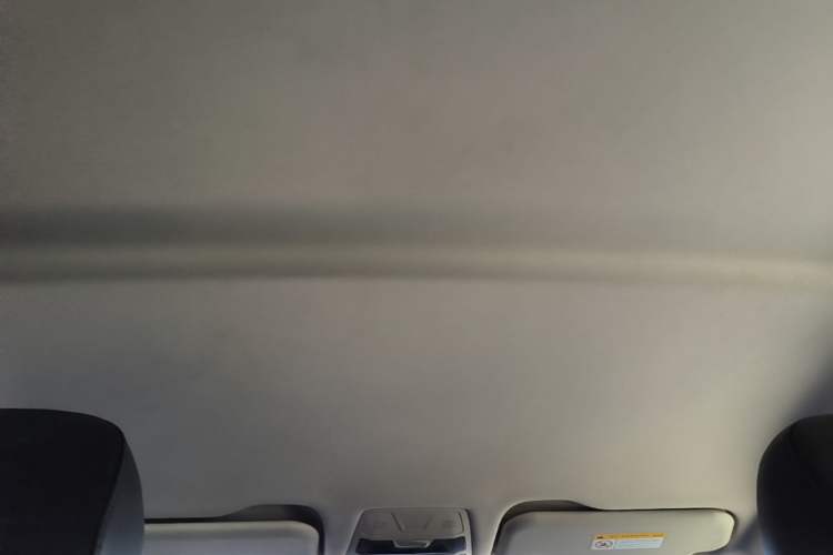 Used Hongqi E-QM5 2023 Revised Version Basic Travel Edition Headliner