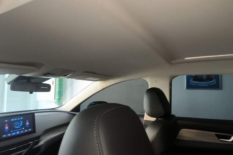 Used Hongqi E-QM5 2023 620km PLUS Headliner
