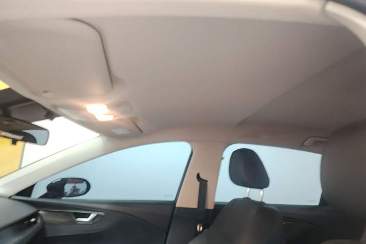 Used Hongqi E-QM5 2023 Revised Version Basic Travel Edition Headliner