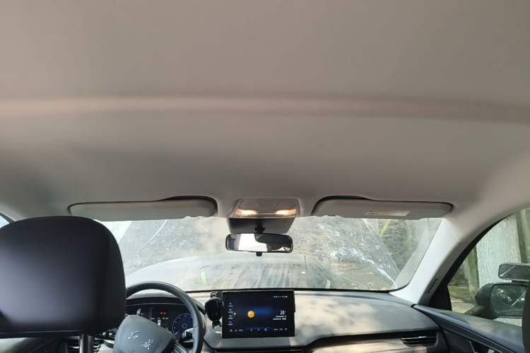 Used Hongqi E-QM5 2023 Base Travel Edition Headliner