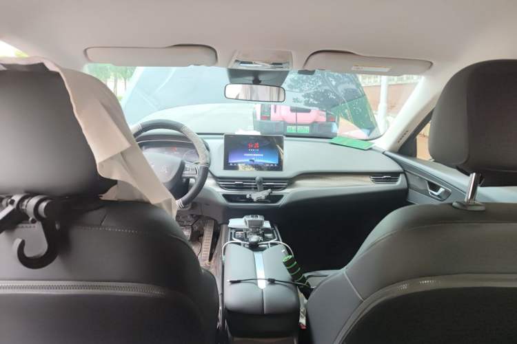 Used Hongqi E-QM5 2023 Revised Version Basic Travel Edition Headliner
