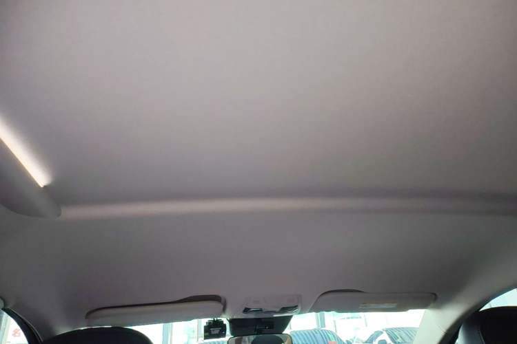Used Hongqi E-QM5 2023 560km PLUS Headliner
