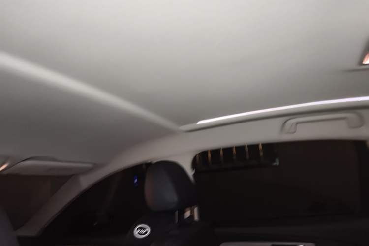 Used Hongqi E-QM5 2023 560km PLUS Headliner