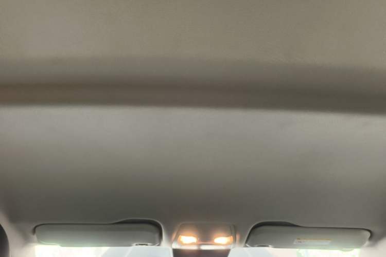 Used Hongqi E-QM5 2023 Revised Version Basic Travel Edition Headliner