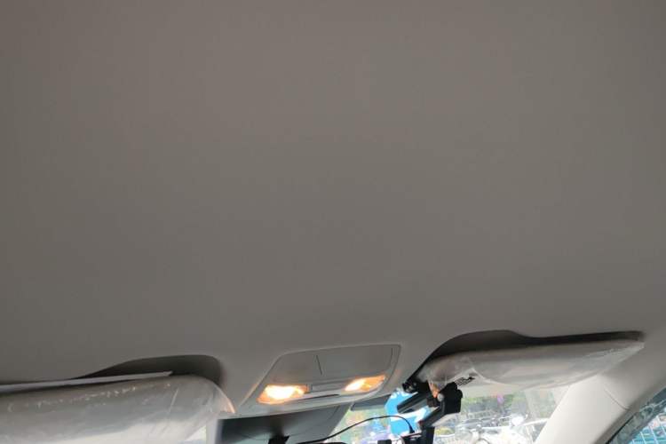 Used Hongqi E-QM5 2023 560km PLUS Headliner