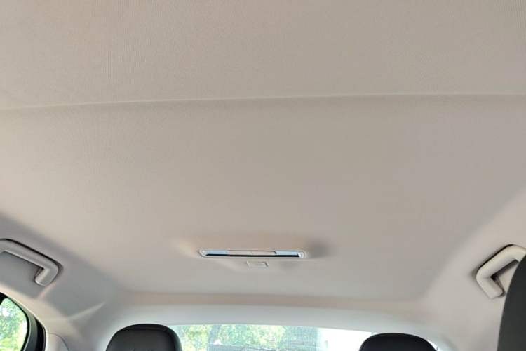 Used Hongqi E-QM5 2023 Revised Version Basic Travel Edition Headliner