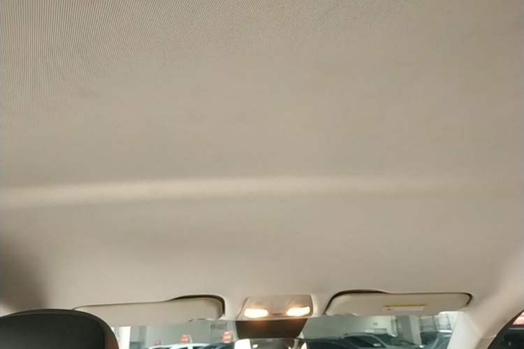 Used Hongqi E-QM5 2023 Revised Version Basic Travel Edition Headliner